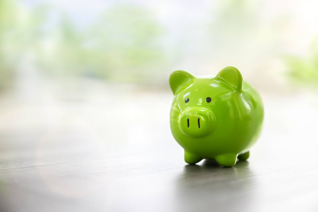 Green piggy bank saving